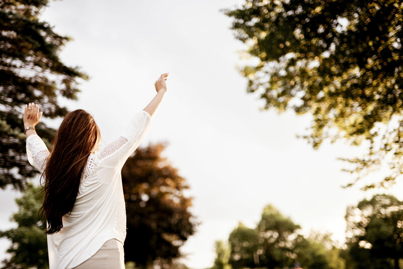 Guided by the Promise