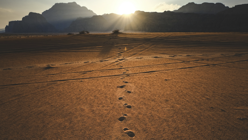 The LORD Your God Walks in Your Midst