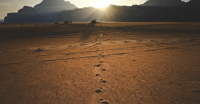 The LORD Your God Walks in Your Midst