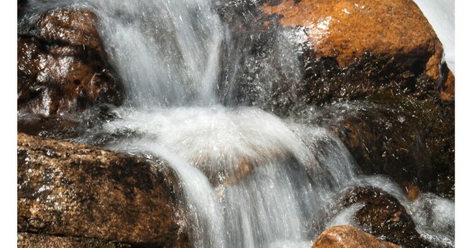 March 2025 Breeze Newsletter Online image