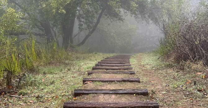 Journey through Lent