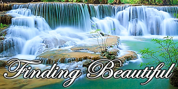 March 8, 2026 - Finding Beautiful