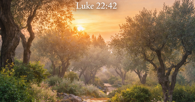 Faith Challenge Lent Week 2 image