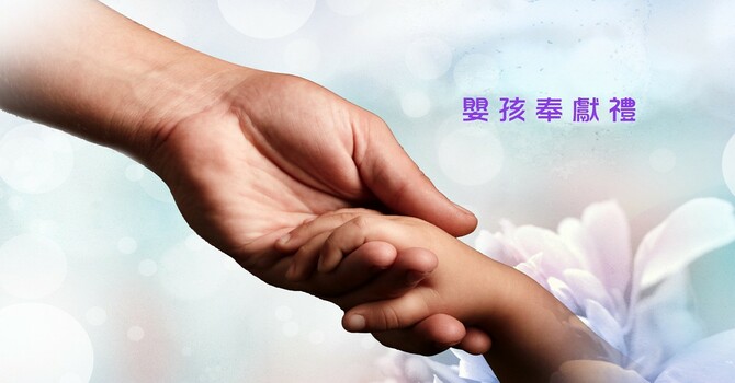 嬰孩奉獻禮 image