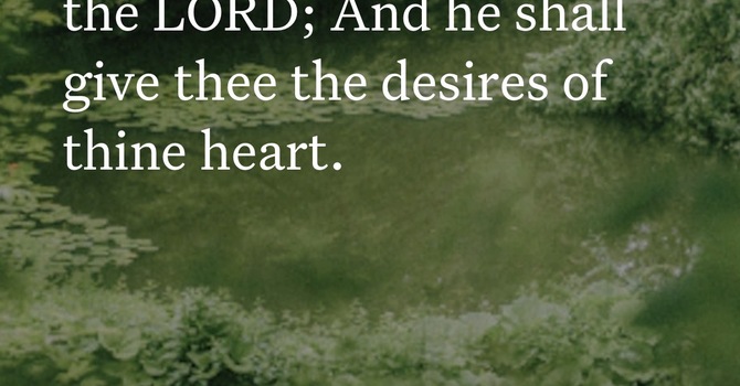 What’s inside? image