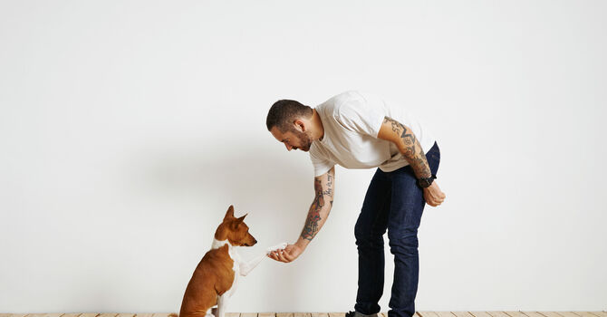 Can an old dog learn new tricks?