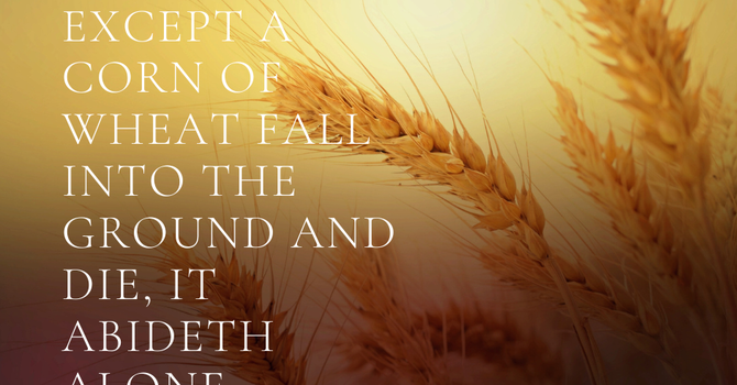 Breaking the Outer Shell  image