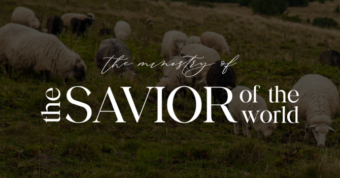 Desperate Faith, Tender Mercy