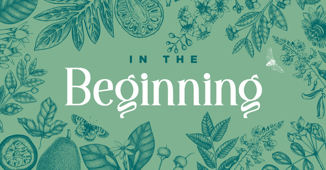 In The Beginning image