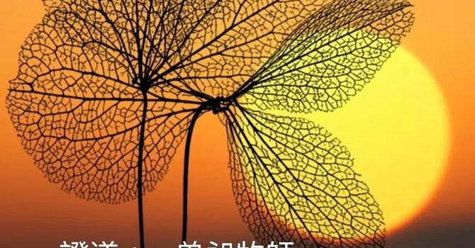 Sunday Worship in Chinese 中文崇拜