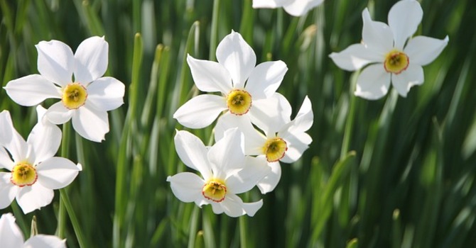 March 2, 2026 Devotion image