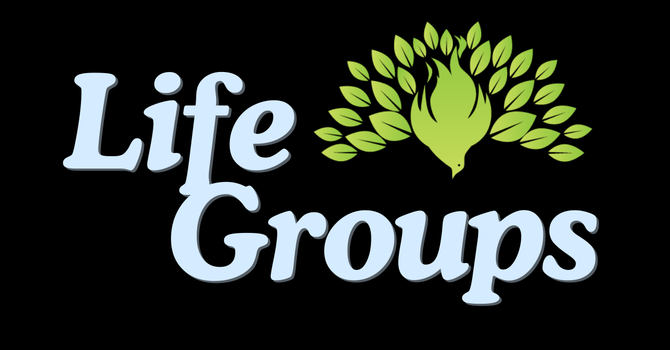 Lifegroups