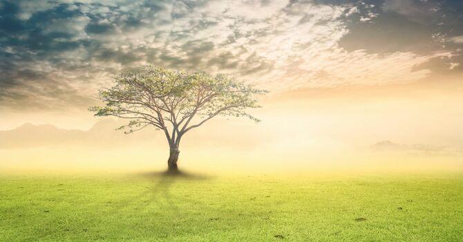 Restored for Assignment image