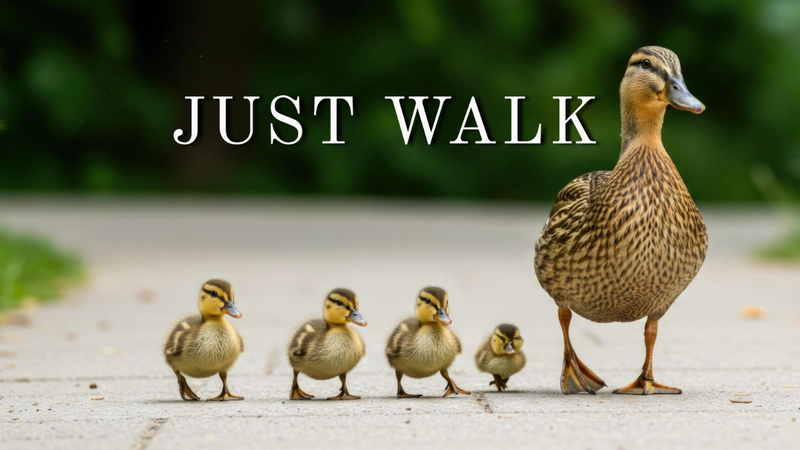 Just Walk