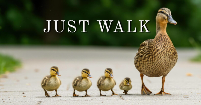 Just Walk