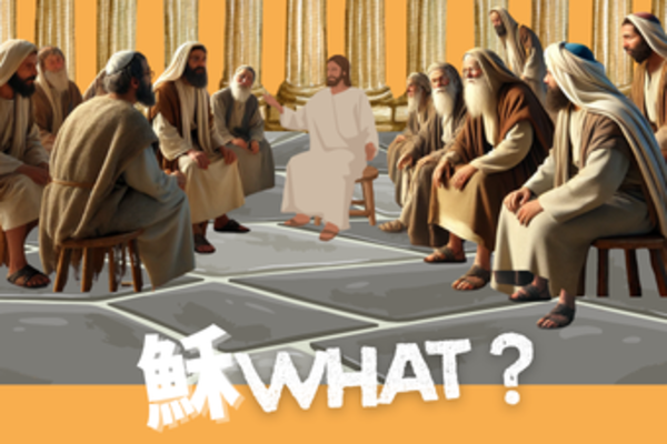 [[ 穌 WHAT !!! ]] 系列 [ So What !!! ] Series   