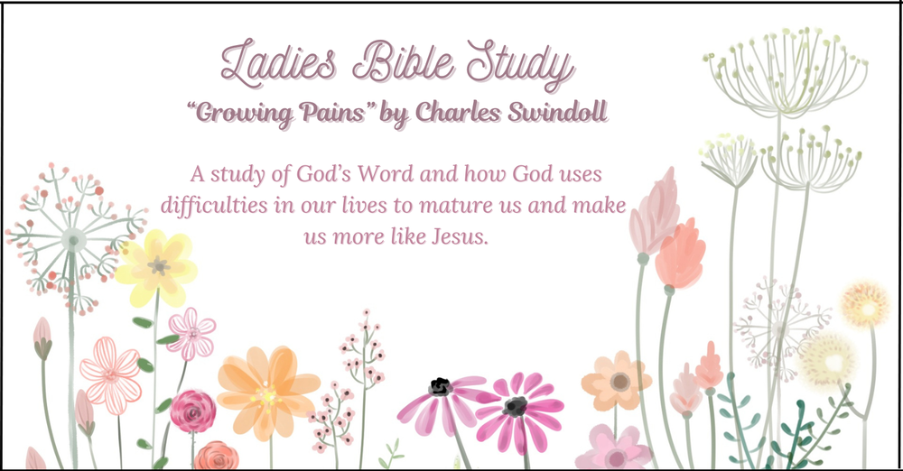 Ladies Bible Study