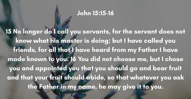 John 15:15-16 image