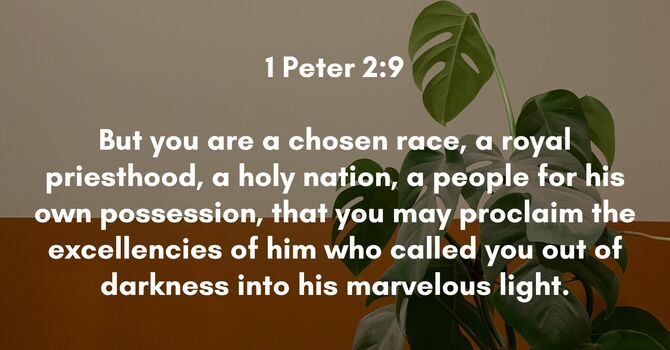 1 Peter 2:9 image