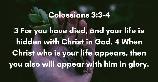 Colossians 3:3-4 image