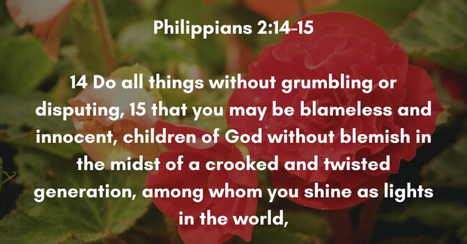 Philippians 2:14-15 image