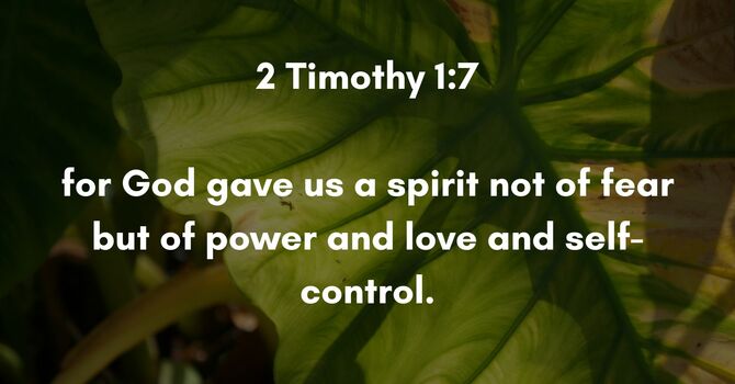 2 Timothy 1:7 image