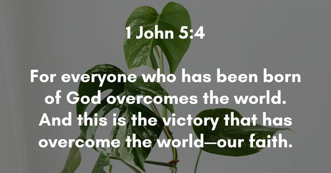 1 John 5:4 image