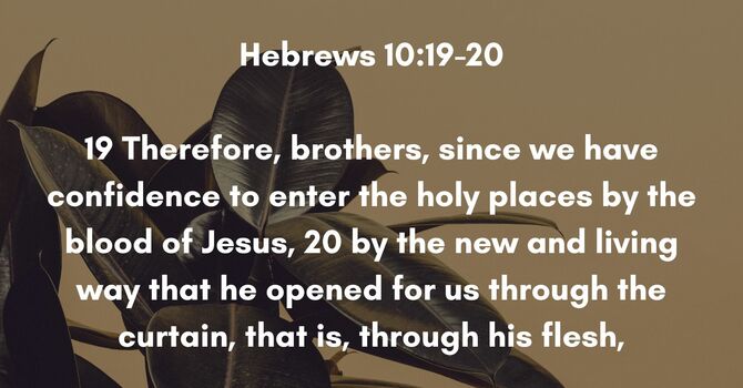 Hebrews 10:19-20 image