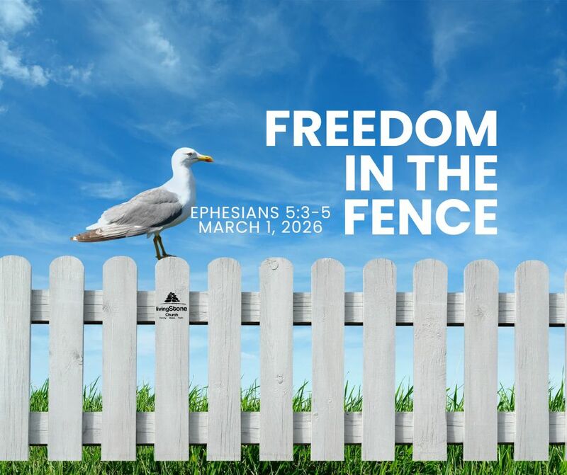 Freedom in the Fence