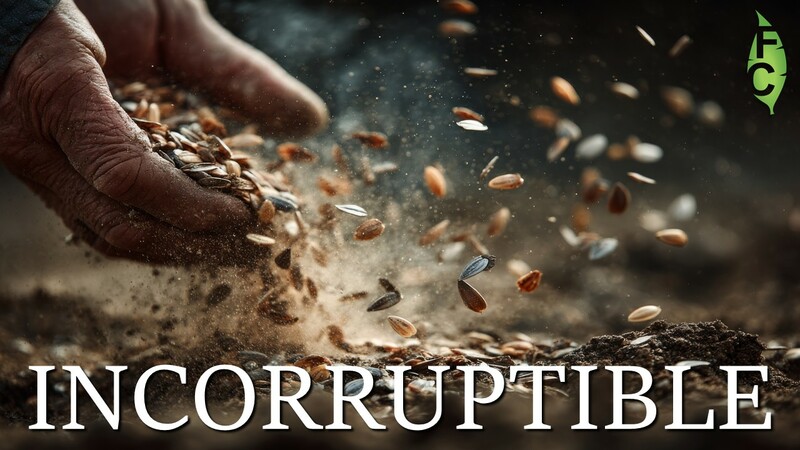 The Incorruptible Word of God 