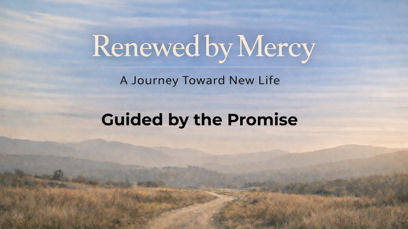 Guided by Promise