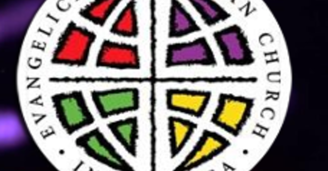 Rocky Mt Synod 2025 "year in review" image