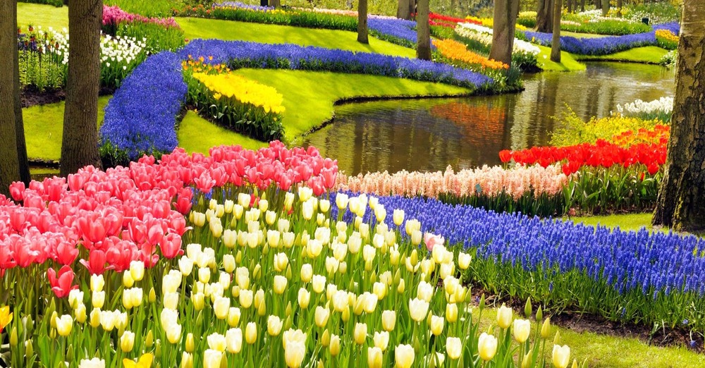 Community Game Night