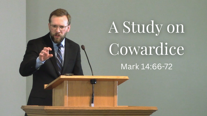 A Study on Cowardice