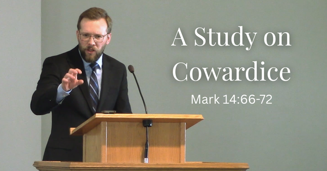 A Study on Cowardice