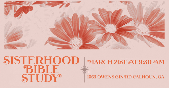 Sisterhood Bible Study 