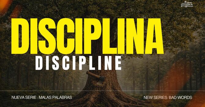 DISCIPLINA