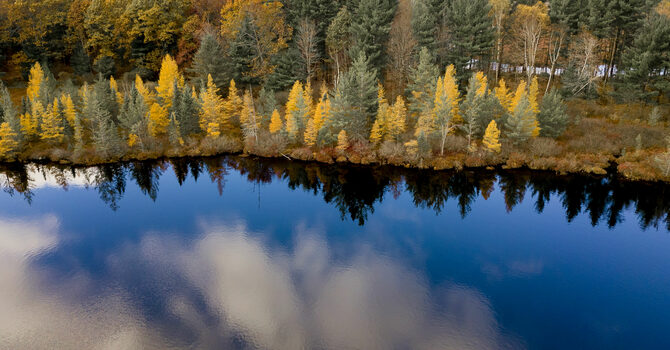 The good news is so good it catches us by surprise