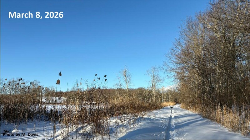 Sermon: "Gatorade for the Soul"