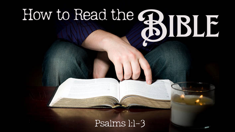 How to Read the Bible