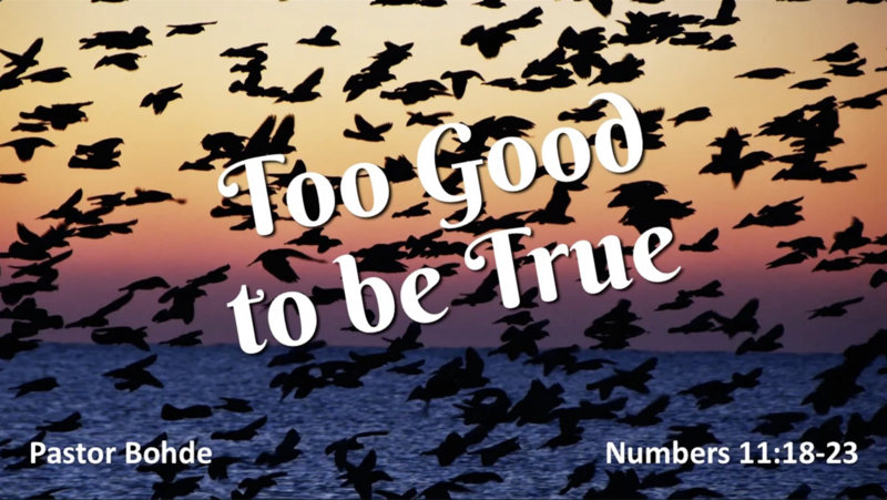 "Too Good To Be True"