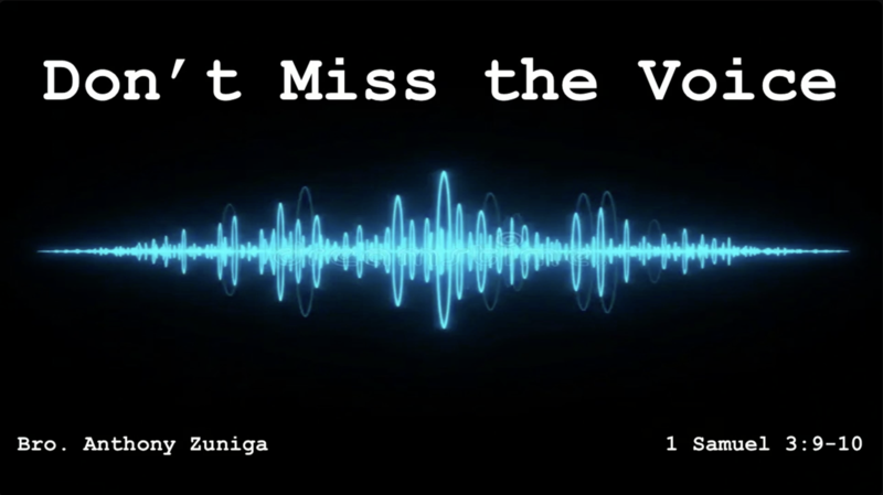 "Don't Miss The Voice"