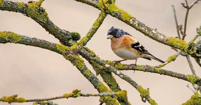 March 4, 2026 Devotion image