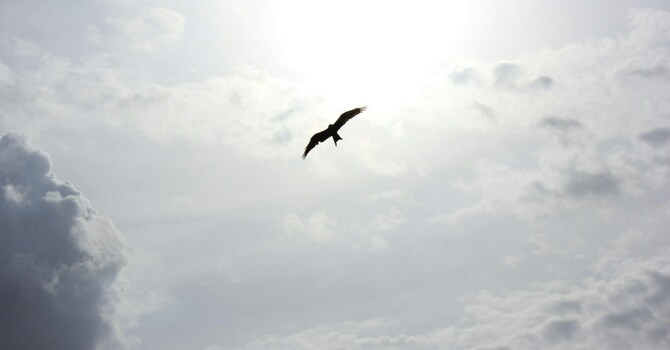 The Radical Beginning