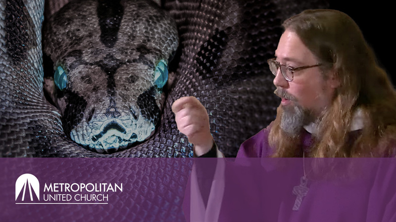 "The Snake at the Starbucks"