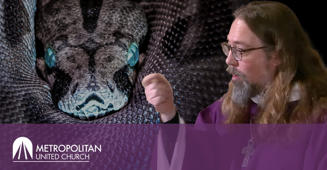 "The Snake at the Starbucks"