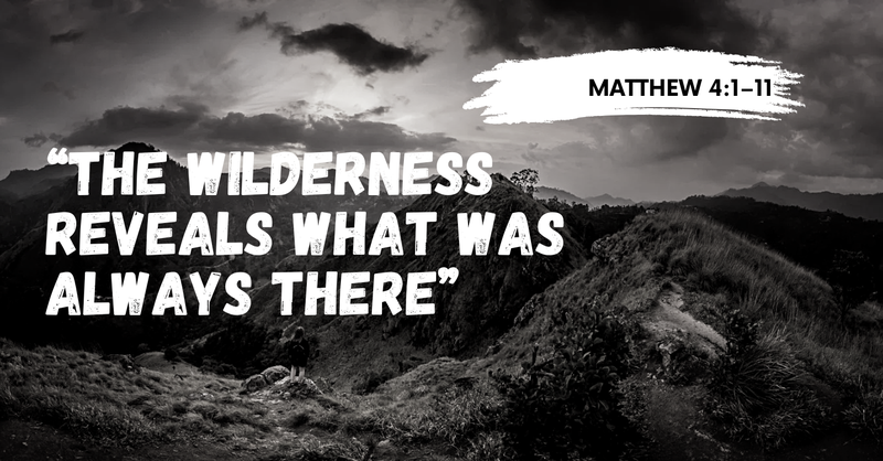 "The Wilderness Reveals What Was Always There"