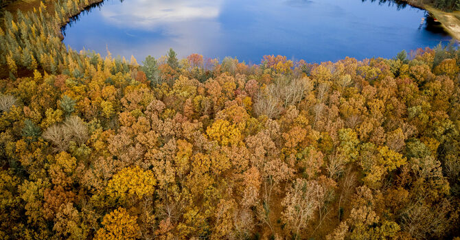 United Methodist Creation Care Tip image