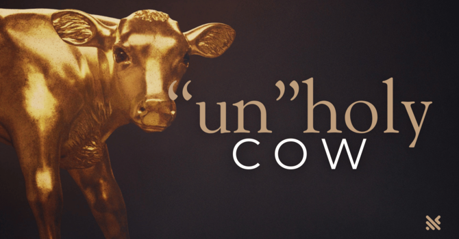"UNHOLY COW"