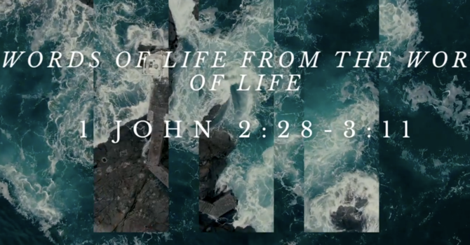 We Are Called The Children Of God